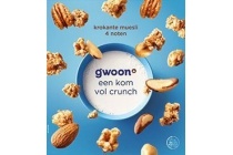 krokante muesli een kom vol met crunch