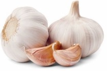 knoflook