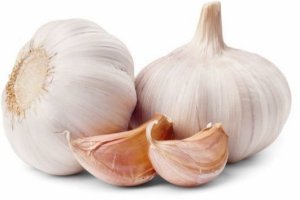 knoflook