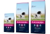 eukanuba hondenvoeding active