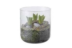 arrangement hyacint