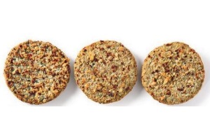 veganistische linzenburger