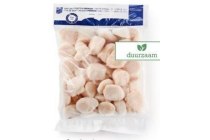 sint jacobsvruchten msc pittman seafoods u10