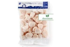 sint jacobsvruchten msc pittman seafoods u10