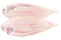 sliptong zonder vel