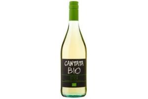 cantata grillo