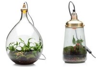 mini ecosysteem in glas