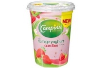 campina romige yoghurt