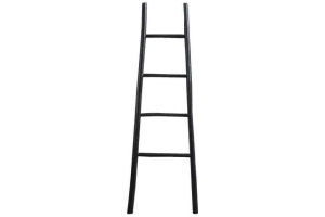 ladder roel