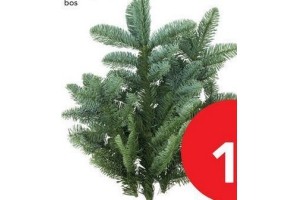 kerstgroen