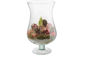 amaryllis in glas in geschenkdoos