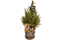 kerstboom in decopot