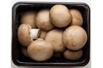 kastanje champignons