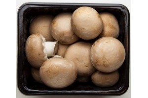 kastanje champignons