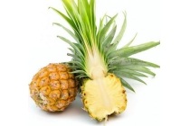 baby ananas