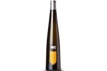 castelvero moscato d asti