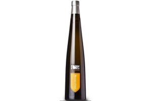 castelvero moscato d asti