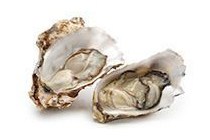 platte oesters