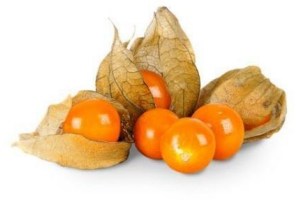 physalis