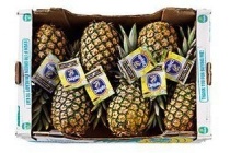 ananas sweet doos 6 stuks
