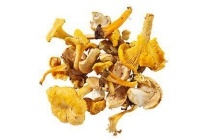 paddenstoelen wildmix