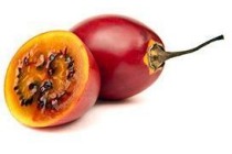 tamarillo