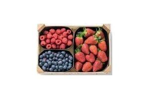 trio zachtfruitmix