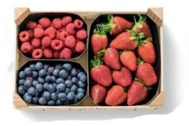 trio zachtfruitmix