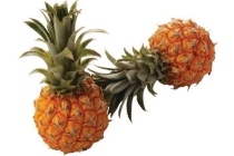 baby ananas