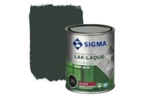 sigma lak exterieur grachtengroen hoogglans