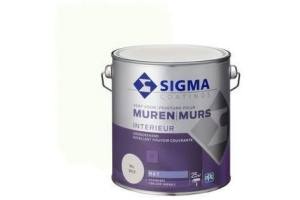 sigma hoogdekkende muurverf ral 9010