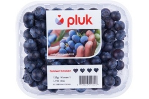 pluk blauwe bessen