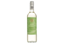 aires andinos torrontes