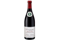 vincent baron bourgogne pinot noir