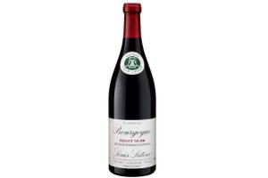 vincent baron bourgogne pinot noir