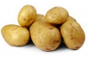 biologische aardappelen