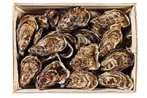 creuses grevelingen no 3