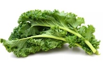 curly kale groen