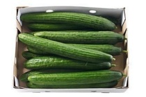 komkommer doos 12 stuks