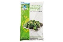 pinguin broccoliroosjes