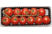 troscocktailtomaten