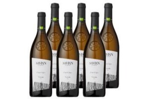 savian pinot grigio venezia doc bio
