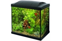superfish aquarium tropical kit