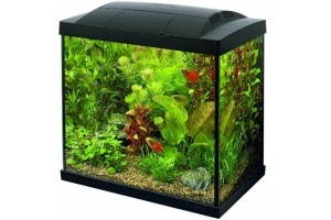 superfish aquarium tropical kit