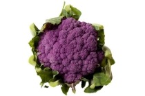 bloemkool paars