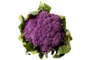 bloemkool paars