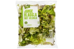 jonge bladsla met veldsla