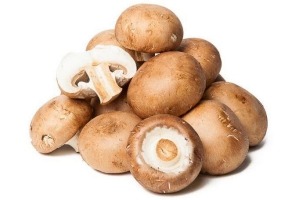 kastanjechampignons