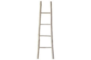 teak ladder