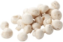 champignons